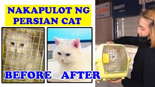 NAKAPULOT NG PERSIAN CAT II OLD SOUK SALMIYA II PINOY VLOGGERS IN KUWAIT