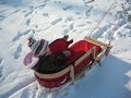 Thanks for the sled, Aunt Marg!!