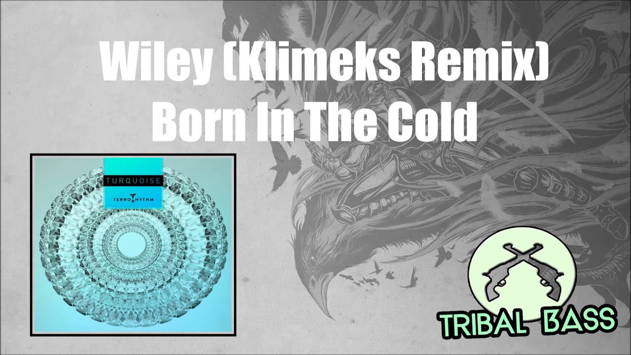 Wiley - Born In The Cold (Klimeks Remix)