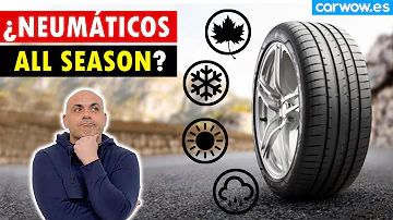 ¿Para qué temperatura son buenos los neumáticos todo tiempo?