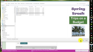 Add Multiple Files to One Canvas Assignment