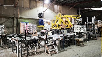 2 line bag palletizing with Fanuc M410iC robot