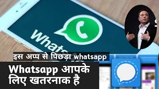 Signal vs WhatsApp Who Is The Best And Safe Appp Elon Musk Recommend Signal Apps  #Signal #ElonMusk