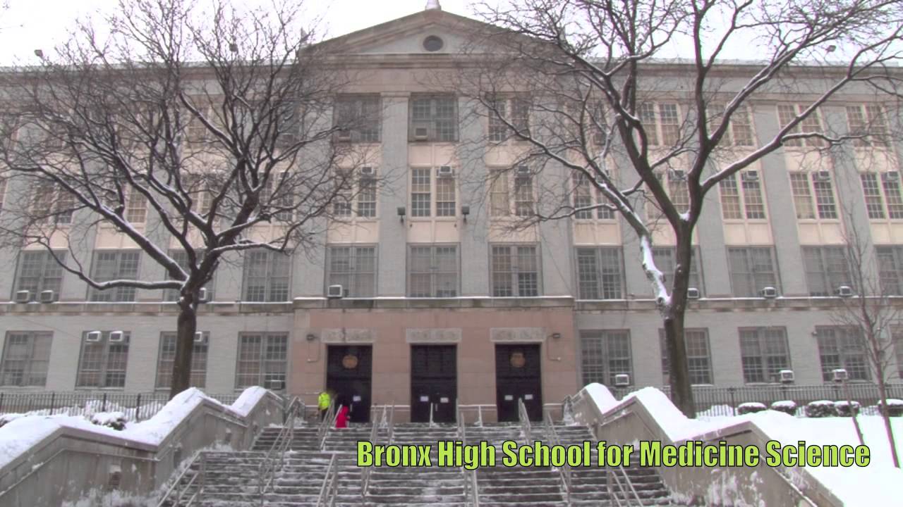 Middle Schools In The Bronx