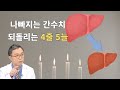 점점 높아지는 간 수치, 위기에 빠진 간을 구하려면  4가지를 줄이고 5가지를 늘려라!  간수치 낮추는 4줄 5늘