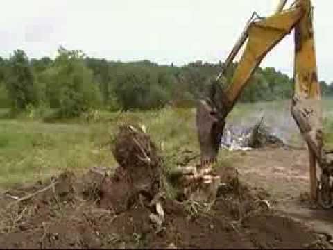 Backhoe Stump Removal Backhoe Stump Removal