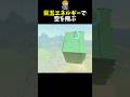 実用性皆無の目玉で飛ぶテクニック #shorts #ゼルダの伝説ティアーズオブザキングダム #ティアキン