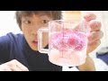 絶品！！！アイスの実サイダー作って食べてみた！