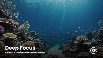 Ocean Flow for Deep Work – Focus Stream 24/7