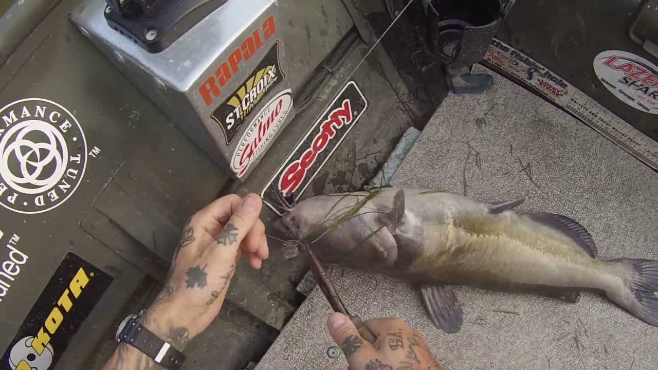 Double header catfish in jon boat YouTube