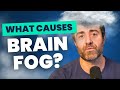 The REAL Root Causes of Brain Fog (Why Gut Health Matters)