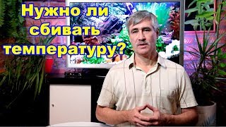 Нужно ли сбивать температуру