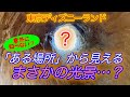 【東京ディズニーランド】まさかの光景？子供しか見えない「ある場所」からの秘密の景色