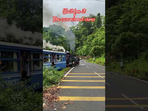 Darjeeling Himalayan rail steam locomotive, coming out of jungle and crossing road #train #travel