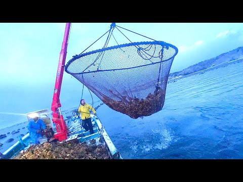 【能登半島沖】震度7の地震に耐えた漁師たちがいました。