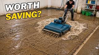 Cleaning a $250,000 Silk Hereke Rug Ruined by Flooding Water Damage ASMR