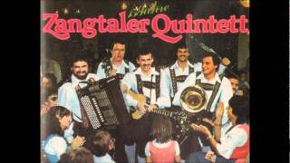 Vignette de la vidéo "Zangtaler Quintett - Aber Schön Muss Sie Sein (1982)"