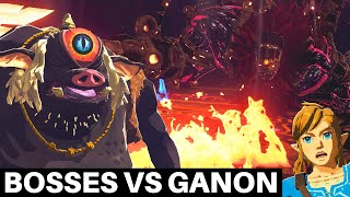 What Happens if Other Bosses Fight Ganon?