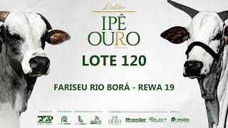 LOTE 120   REWA 19