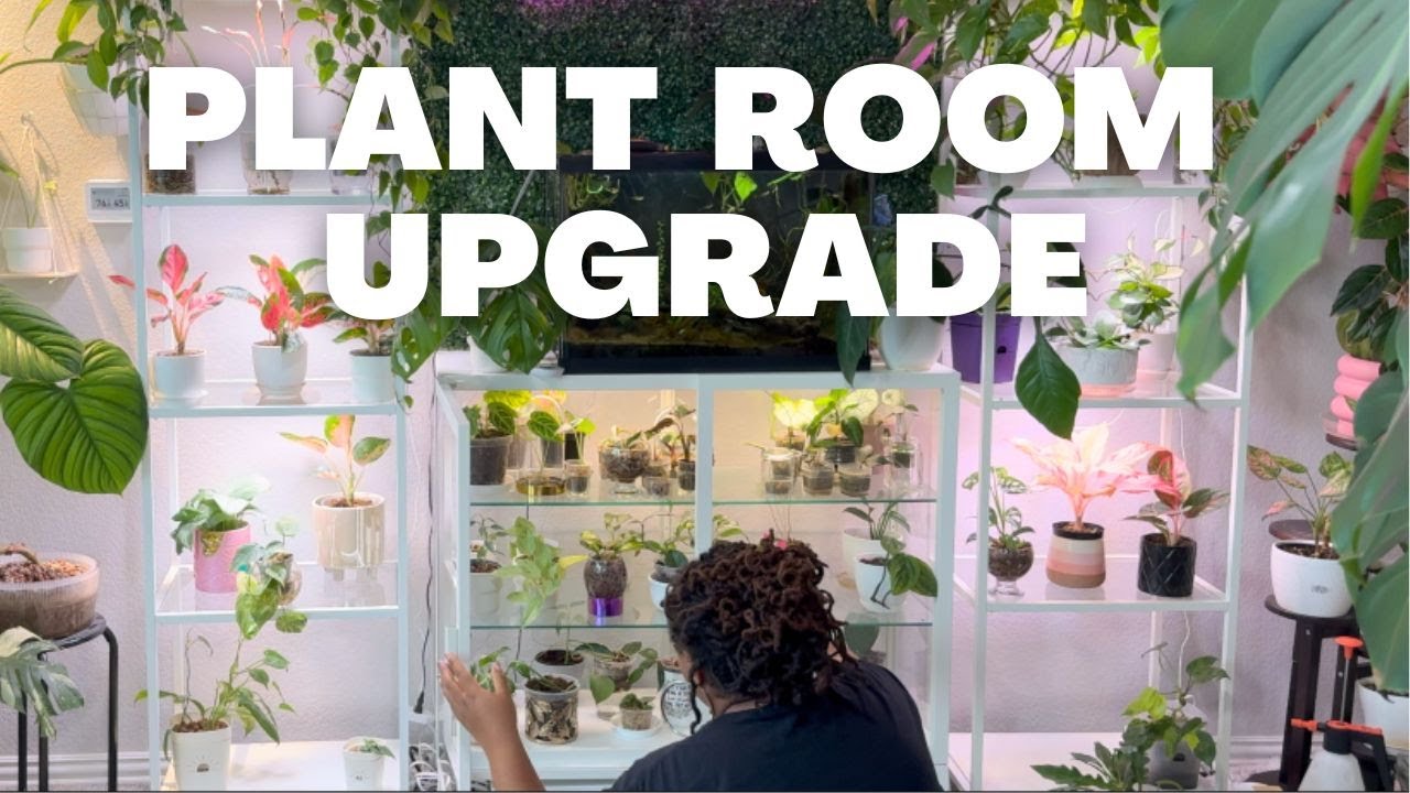 Обустраиваю свою новую полку из ИКЕА + занимаюсь расстановкой комнатных растений