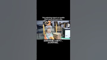 This palletizing robot is so capable that it works 24 hours a day. #palletizer #factory #robot