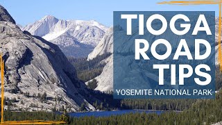 Insider Tips for Driving Yosemite's Tioga Road | Best Activities and Viewpoints