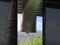 20260516指南宮祕境 幸福亭 敲鐘祈福 遠眺101大樓
