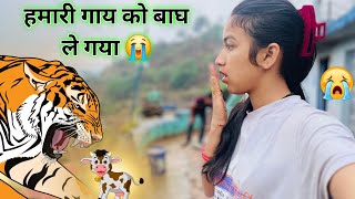 हमारी गाय प्रेग्नेंट थी 🥺 और मम्मी की रो रो कर हालत खराब हो गई थी 😭 | Tarahul Vlogs🌴