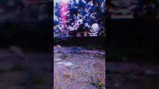 Bashbari High School