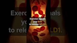 Your Liver Is Repairing Your Brain #Shorts