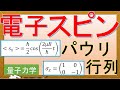 【量子力学】一様磁場中の電子スピン