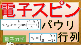 【量子力学】一様磁場中の電子スピン