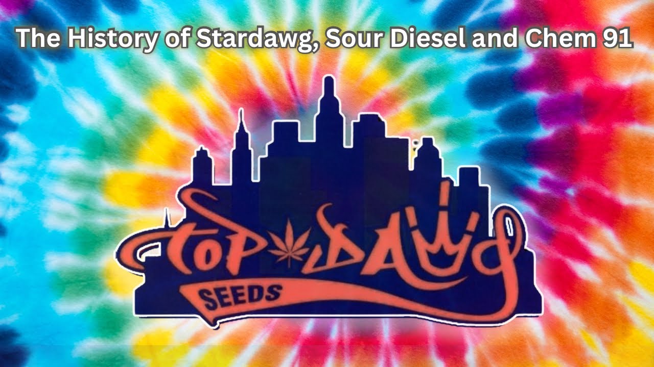 The Man Behind STARDAWG - JJ Speaks on Sour Diesel, Chem and his Career