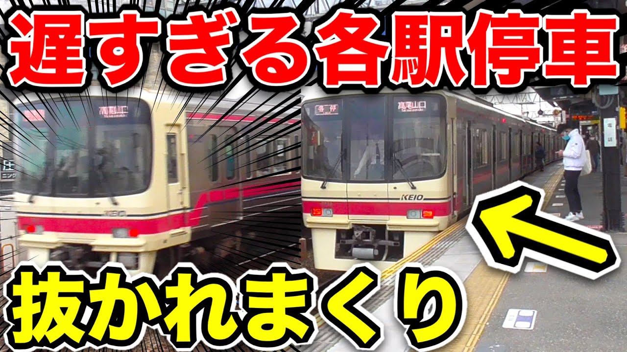 Tortoise] This insanely slow local train is crazy lol. I