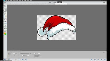 Making a custom penguin on Photoshop Elements 11