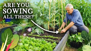 видео: 15 овощей и трав, которые нужно обязательно посеять в конце октября картинка: 15 овощей и трав, которые нужно обязательно посеять в конце октября