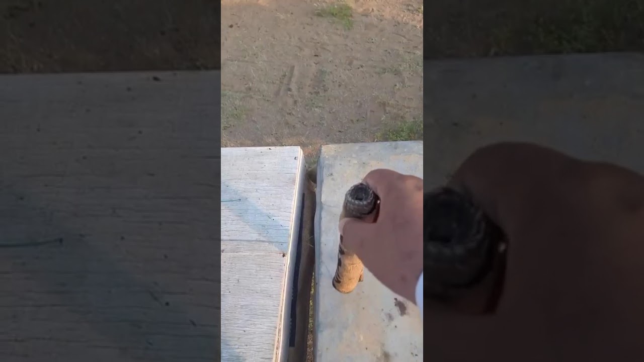 كيف اجمع كمية كبيره من العسل 