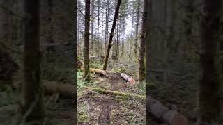 Birdsview Riding Area - Trail work and reroutes.. by Eric Troili AirWreck 14 views 4 years ago 1 minute, 10 seconds