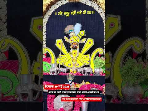 आज के अति मनमोहक दर्शन #darshan #shyam #sawriyaseth #song #trrending #aarti #love #minivlog #sorts