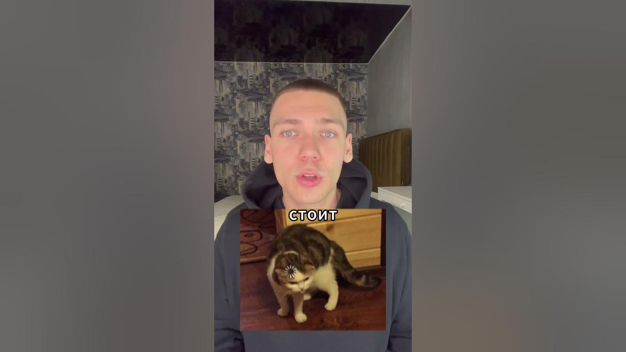 Приоритеты алгебры логики #информатика #python #егэ - YouTube