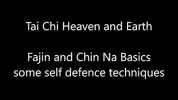 Fajin and Chin na Basics some self defence techniques with Sifu Paul Nathan