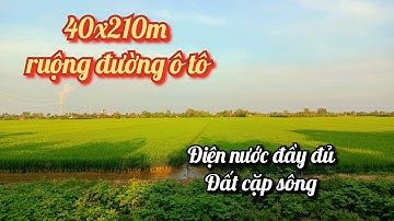 [Đã bán] T.52 - 8.400m2 ruộng 40m mặt tiền ô tô | xã Thạnh Lộc, H. Cai Lậy, Tiền Giang