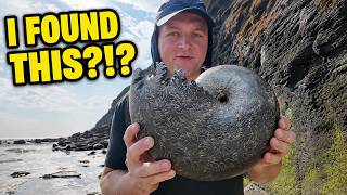 The BIGGEST Ammonite I’ve Ever Found?!