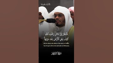 تلاوة الشيخ ياسر الدوسري - صلاة العشاء 29 صفر 1446 - سورة الروم#اكسبلور #ياسر_الدوسري #لايك