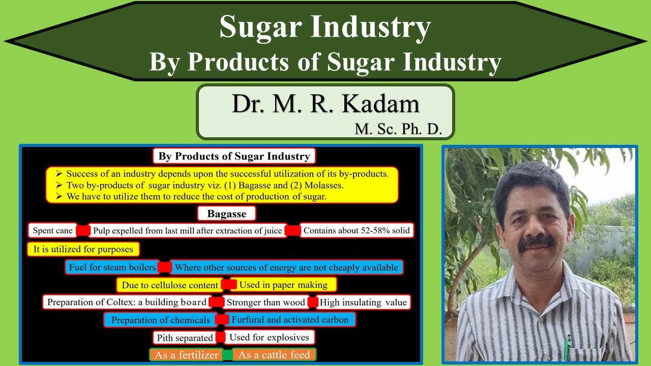 By Products of Sugar Industry YouTube