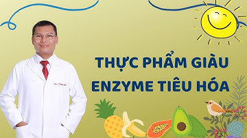 TOP 10 THỰC PHẨM GIÀU ENZYME TIÊU HÓA TỐT CHO SỨC KHỎE ĐƯỜNG RUỘT