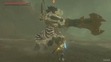 Thunder clap Rush and flurry rush on a Lynel￼￼