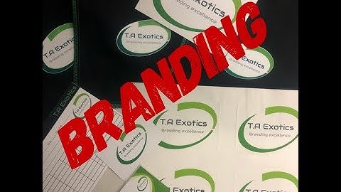 Ball Pythons! Branding and new pick ups!