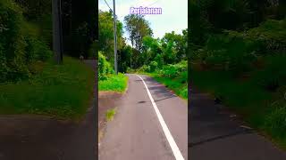 Cerah #desa #suasanapedesaan #alampedesaan #perjalanan