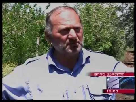 ე.წ. საზღვრის დემარკაცია - ადგილობრივების განცხადებები და შეფასებები პარლამენტში